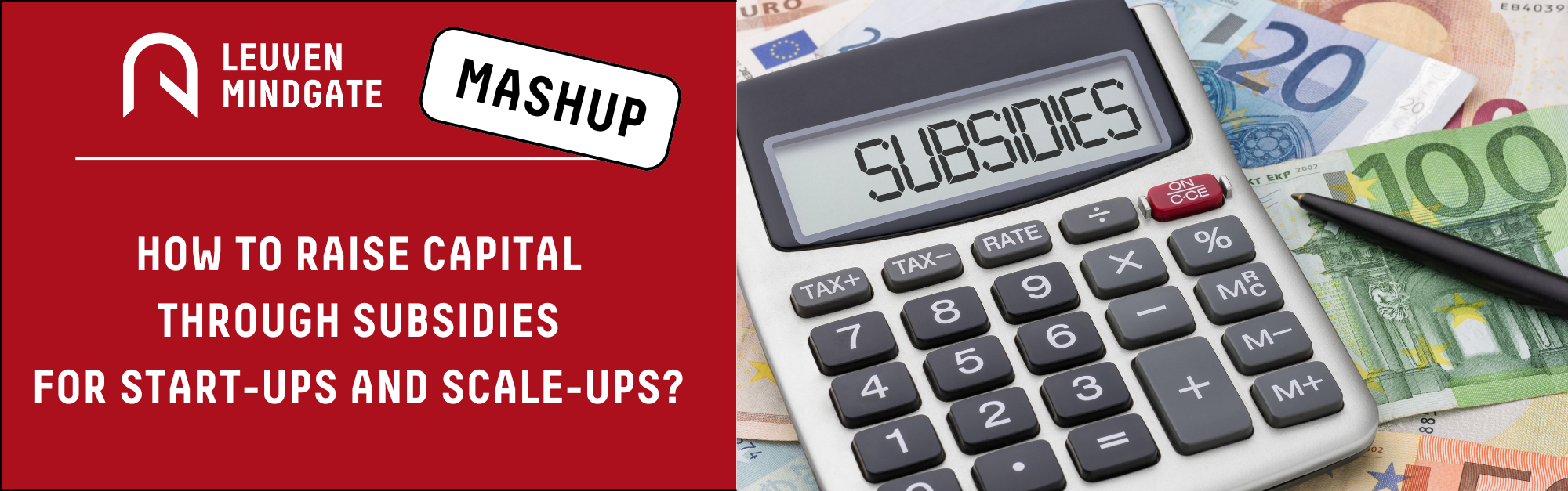 211000_How to raise capital through subsidies